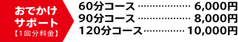 サポート料金